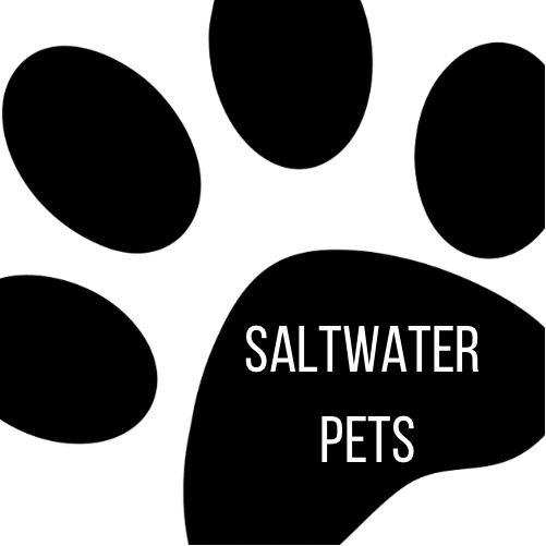 Saltwater Pets